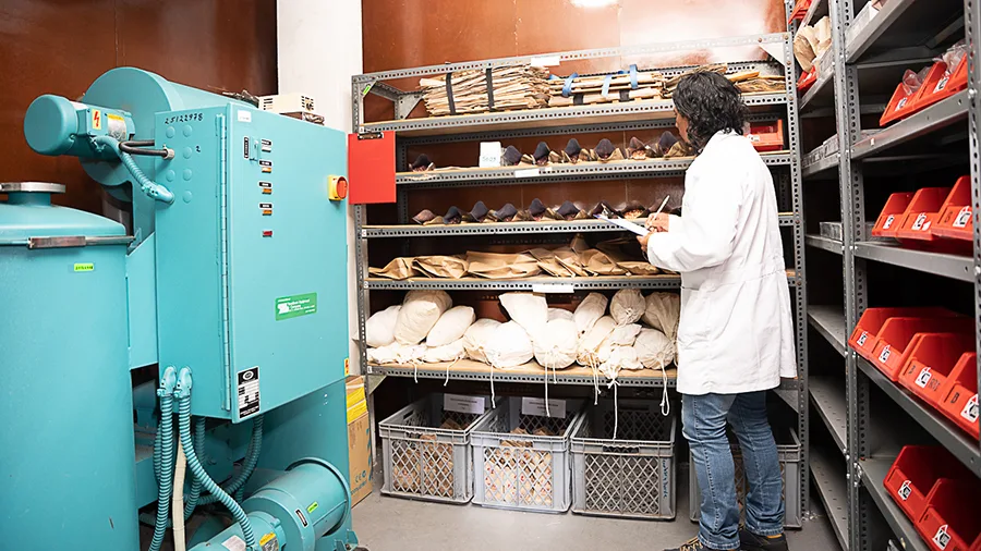 BODEGA